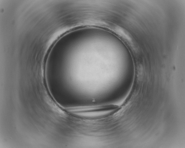 X0000088831280200706071346