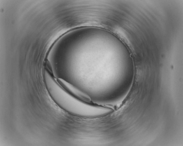 X0000088831284200706071346