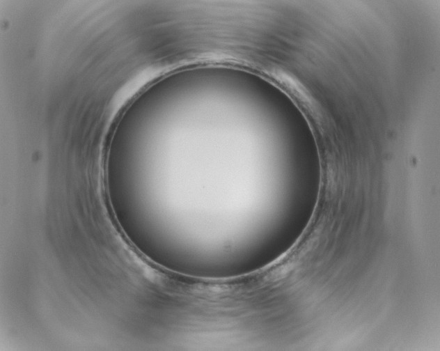 X0000088831286200706071346