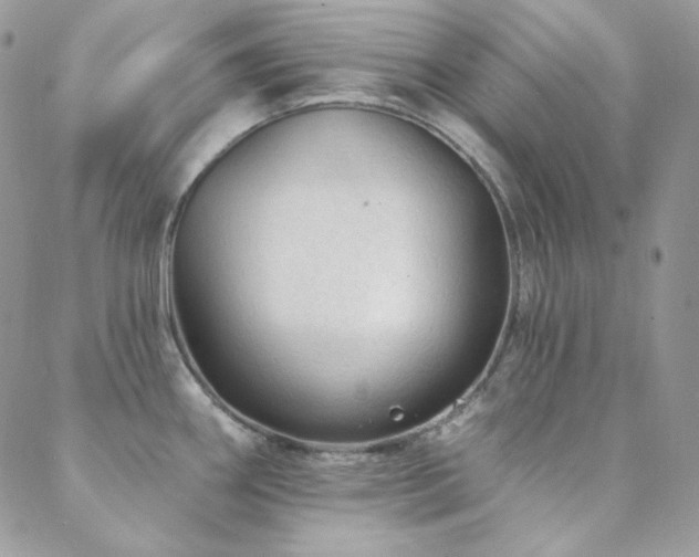 X0000088831290200706071346