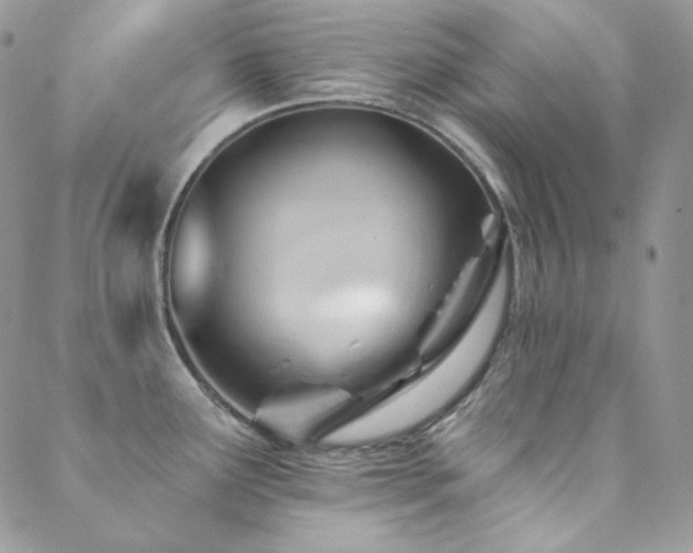 X0000088831291200706071346