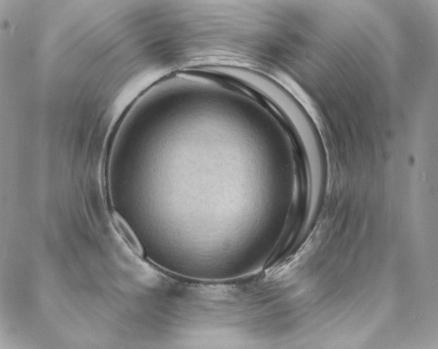 X0000088831293200706071346