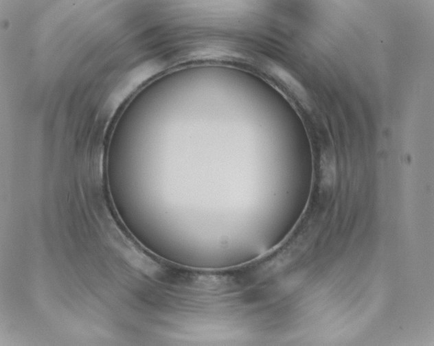 X0000088831322200706071345