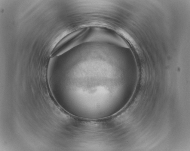 X0000088831329200706071345