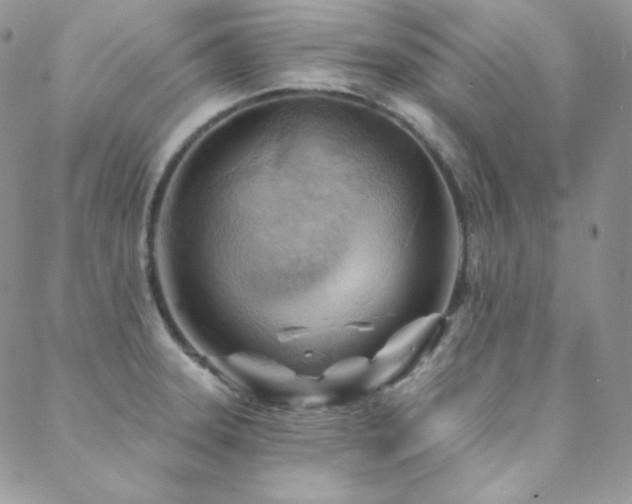 X0000088831331200706071345