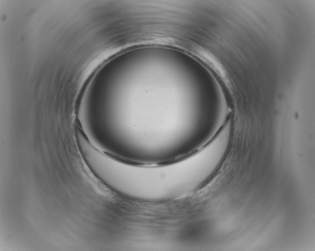 X0000088831332200706071345