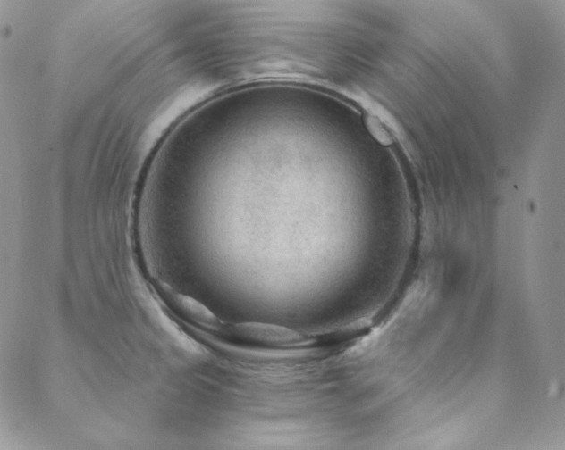 X0000088831333200706071345