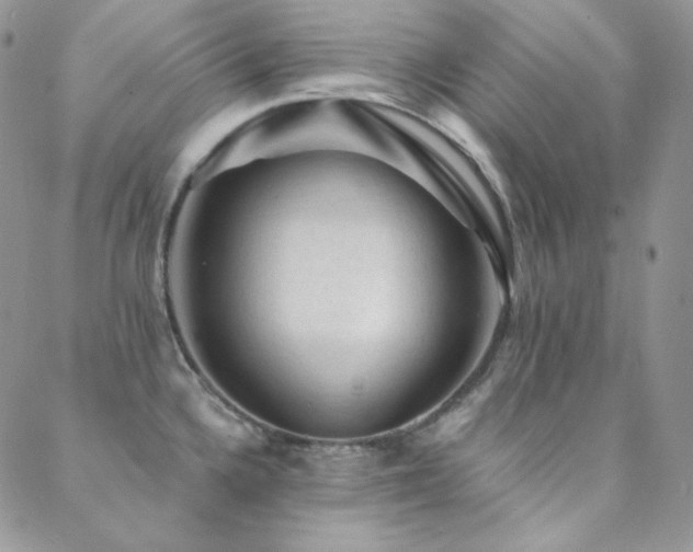 X0000088831336200706071346