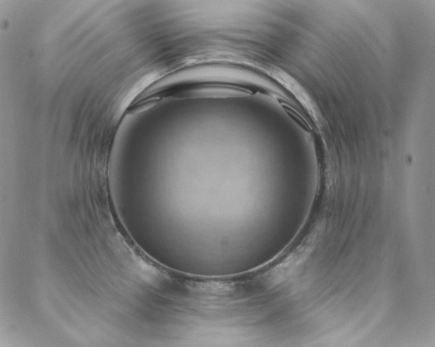 X0000088831337200706071346