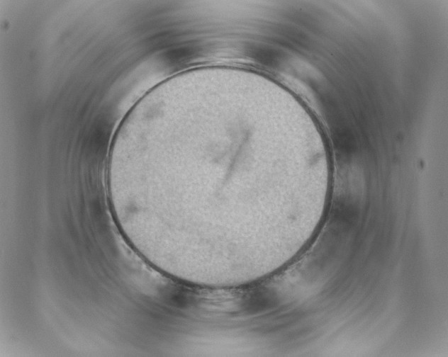 X0000088831338200706071346