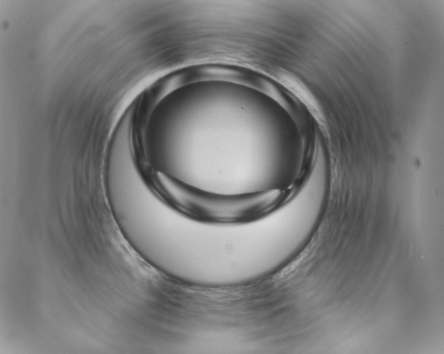 X0000088831340200706071346
