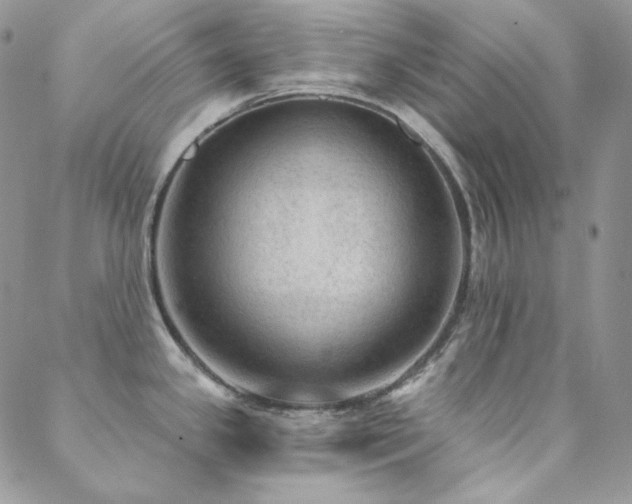 X0000088831341200706071346