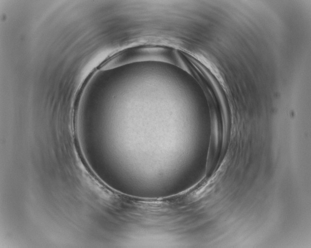 X0000088831342200706071346