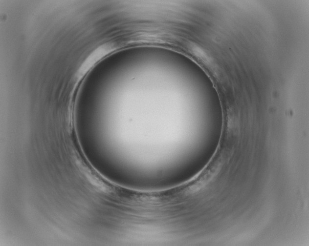 X0000088831370200706071344