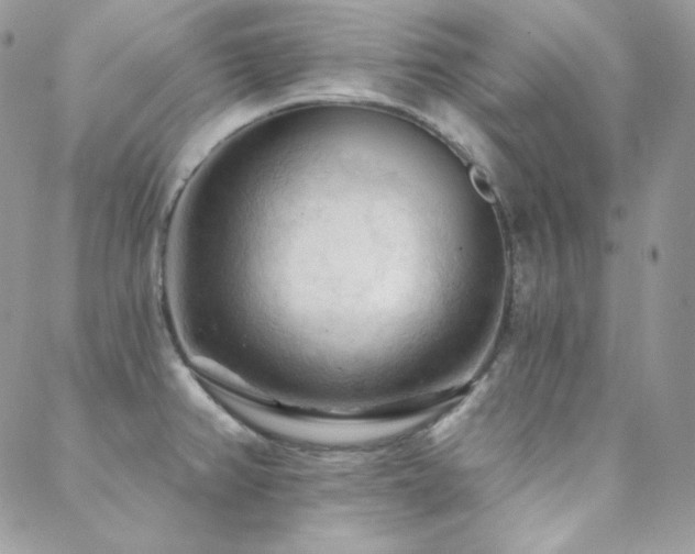 X0000088831382200706071344