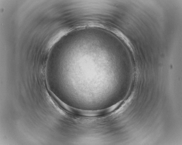 X0000088831385200706071344