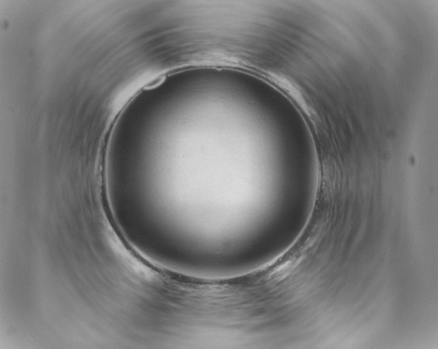 X0000088831387200706071344