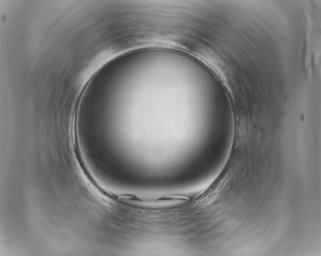 X0000088831391200706071344