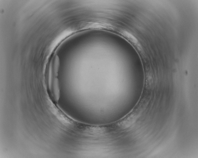 X0000088831427200706071344