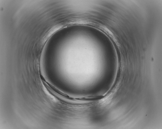 X0000088831433200706071344