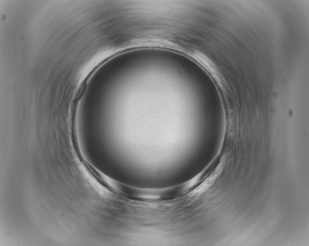X0000088831438200706071344