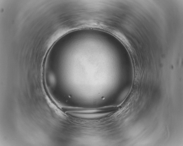 X0000088831439200706071344
