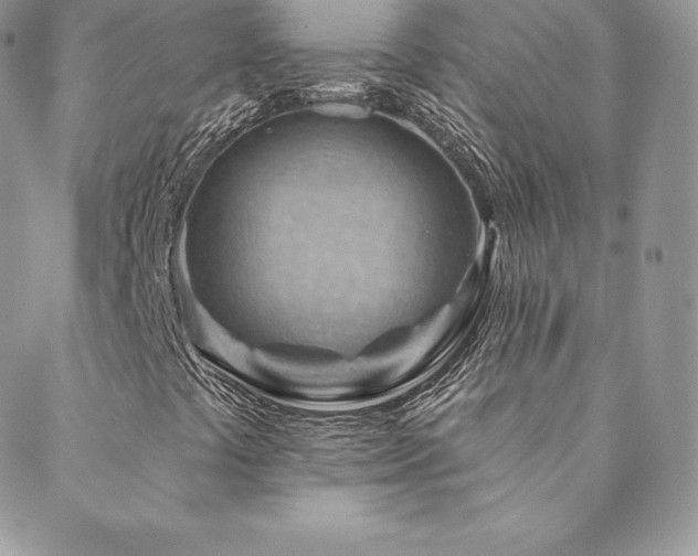 X0000088831441200706071343