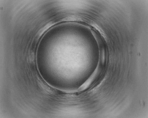 X0000088831465200706071343