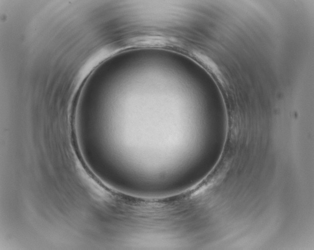 X0000088831475200706071343