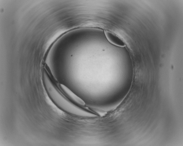 X0000088831476200706071343