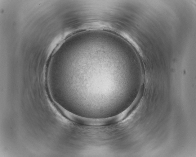 X0000088831477200706071343