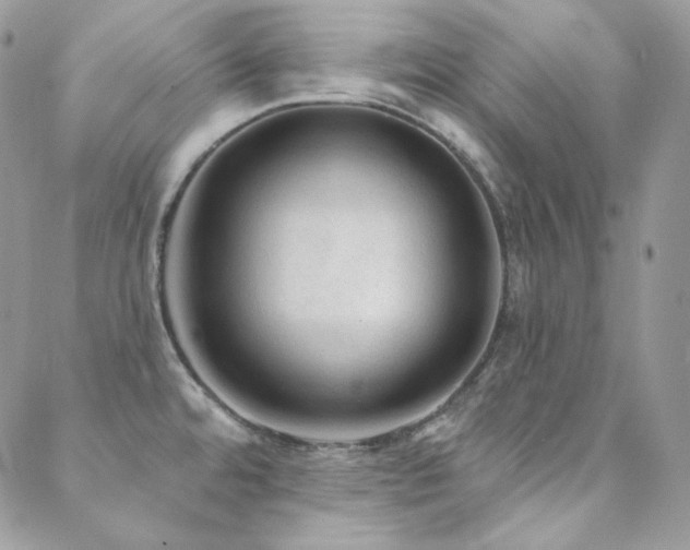 X0000088831480200706071343