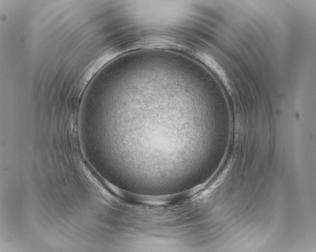 X0000088831481200706071343