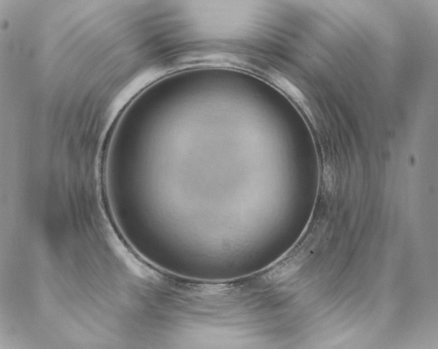 X0000088831482200706071343