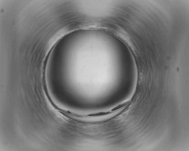 X0000088831483200706071343