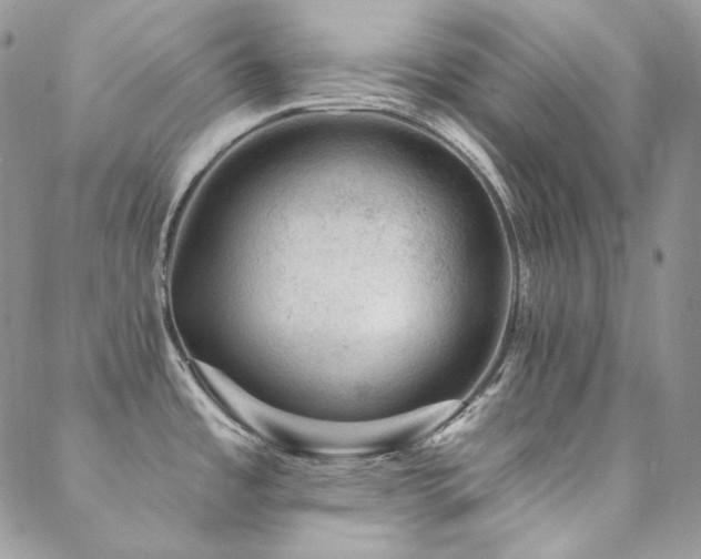 X0000088831485200706071343
