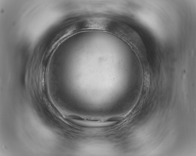 X0000088831487200706071343