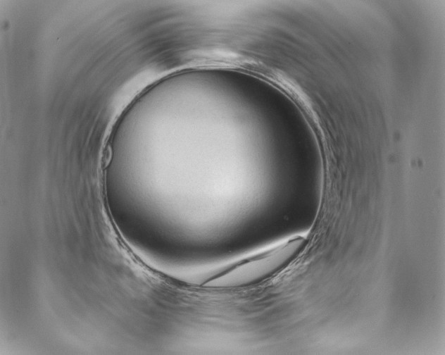 X0000088831488200706071343