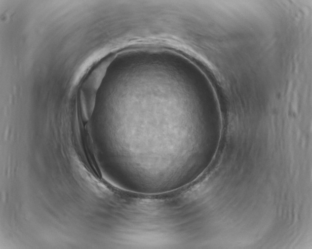 X0000088831506200706071342