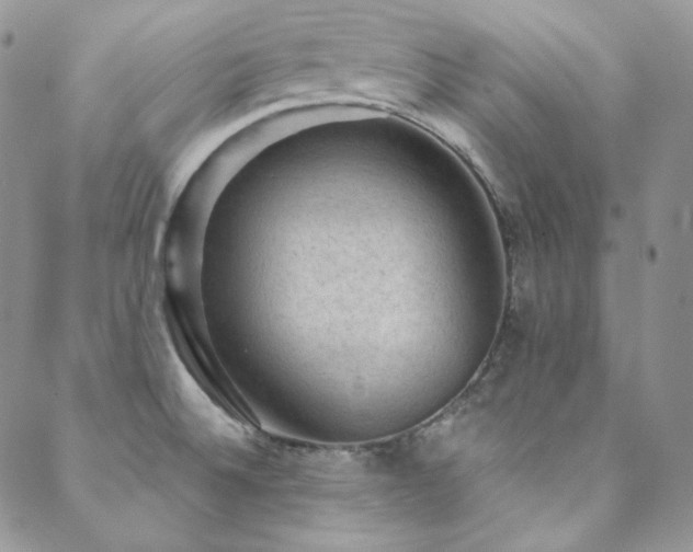 X0000088831524200706071342
