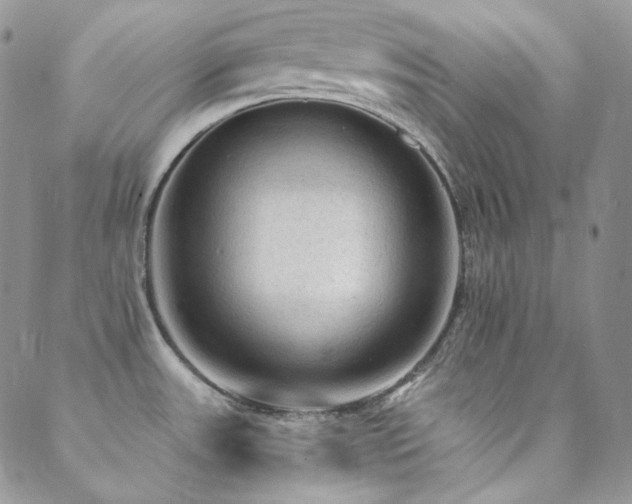 X0000088831531200706071342