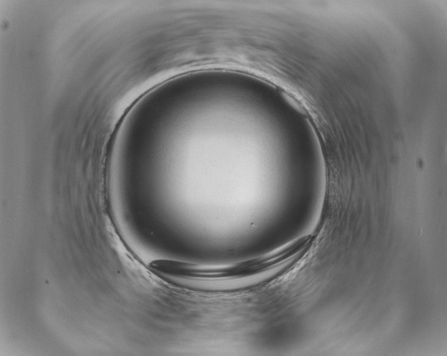 X0000088831534200706071343