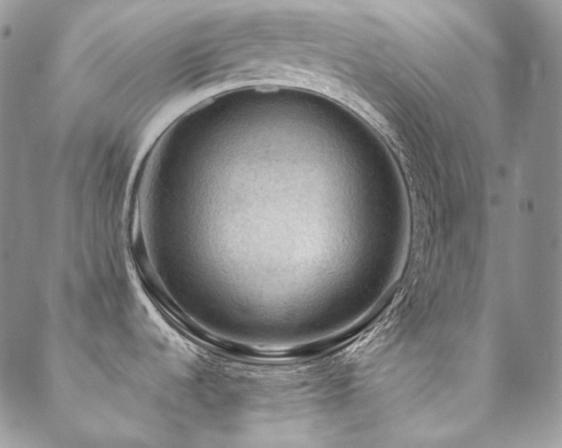 X0000088831536200706071343