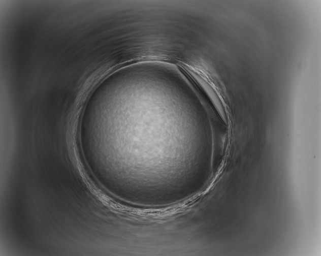 X0000088830001200706141529