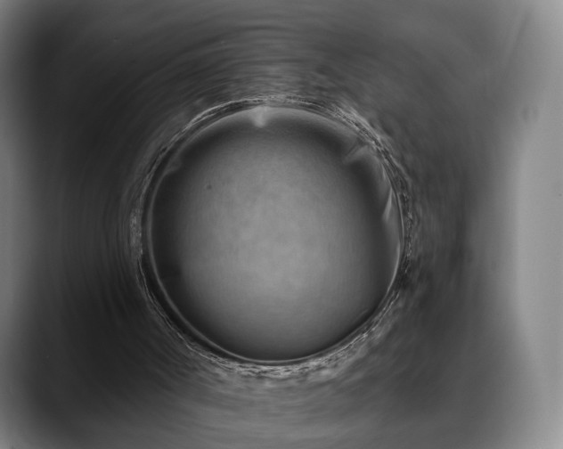 X0000088830002200706141529