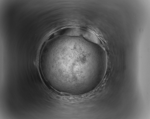 X0000088830003200706141529