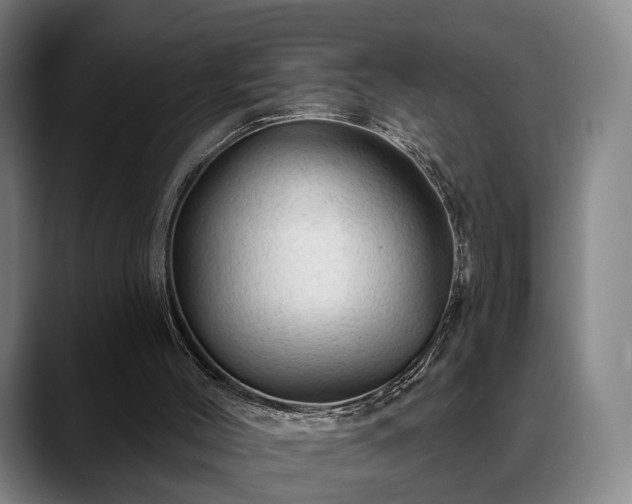 X0000088830004200706141529