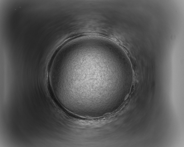 X0000088830005200706141529