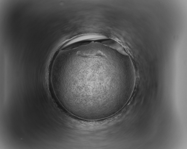 X0000088830006200706141529