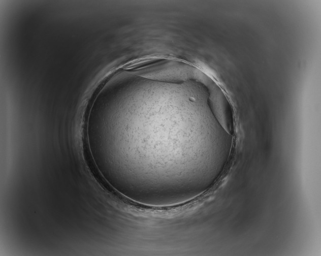 X0000088830007200706141529